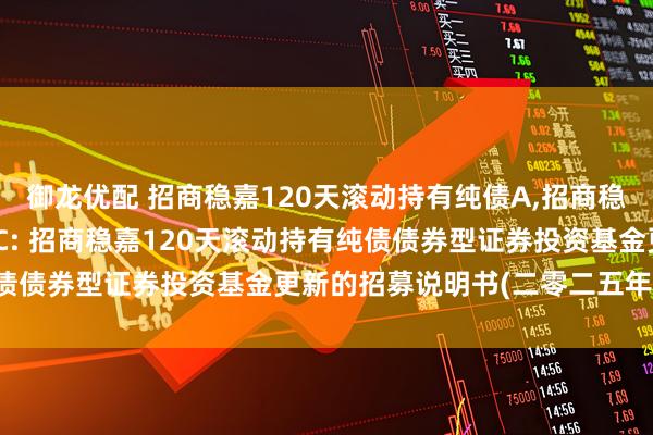 御龙优配 招商稳嘉120天滚动持有纯债A,招商稳嘉120天滚动持有纯债C: 招商稳嘉120天滚动持有纯债债券型证券投资基金更新的招募说明书(二零二五年第一号)