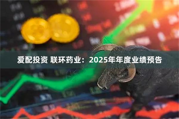 爱配投资 联环药业：2025年年度业绩预告