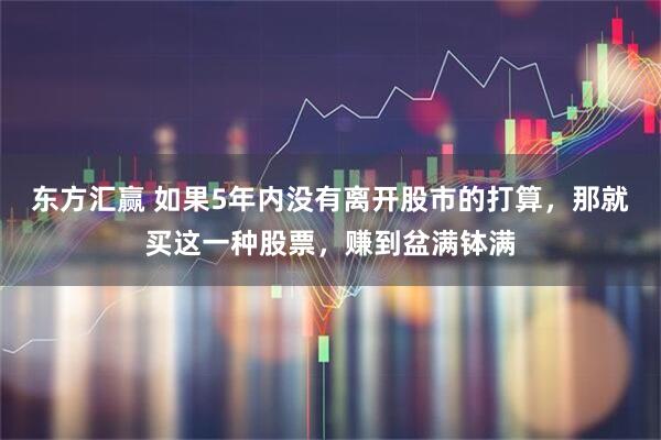 东方汇赢 如果5年内没有离开股市的打算，那就买这一种股票，赚到盆满钵满